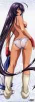 Ikki_tousen_20110828_170.jpg